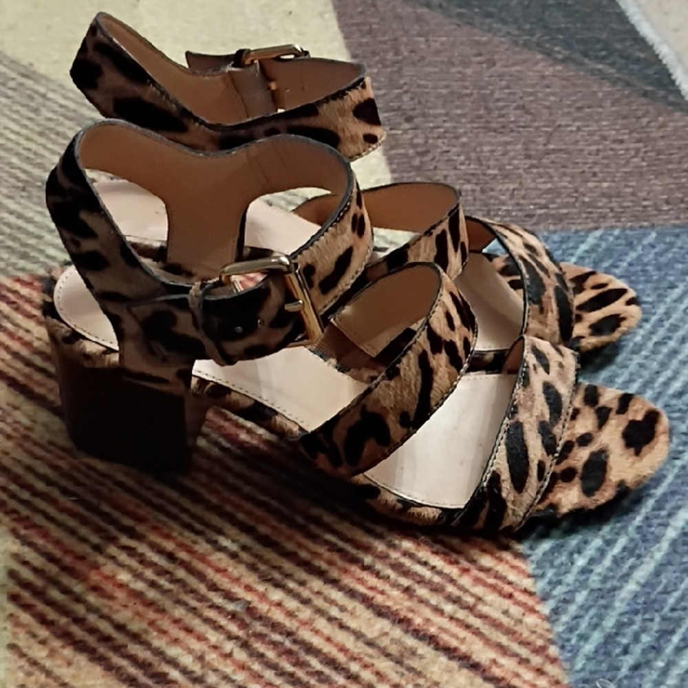 J Crew Leopard Print Block Heel Shoe SZ 7